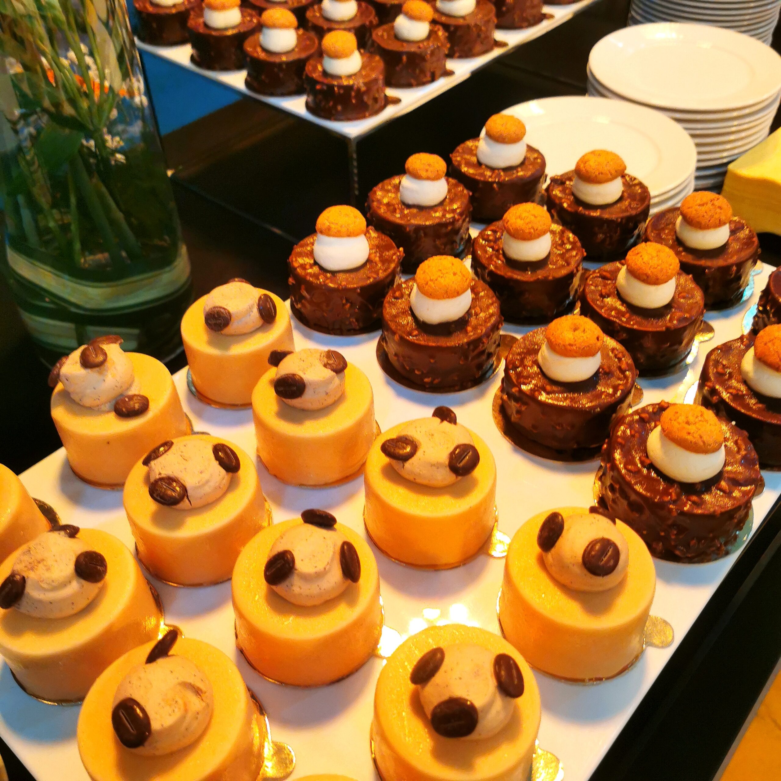 Project Header Image